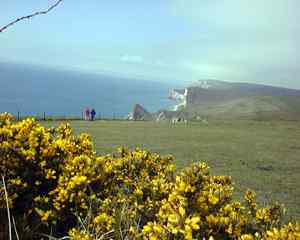 lulworthdurdledoor.jpg (8533 Byte)