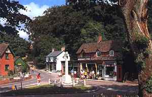 newforestgodshill.jpg (9974 Byte)