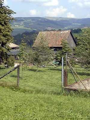 gersfeld-dammelhof-wasserkuppenblick2.jpg (20126 Byte)