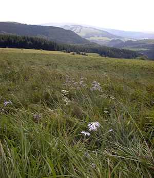 panorama-himmeldunk-arnsberg.jpg (15385 Byte)